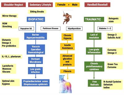 A Comprehensive View of Frozen Shoulder: A Mystery Syndrome